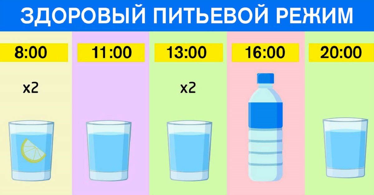 Схема питья воды для похудения